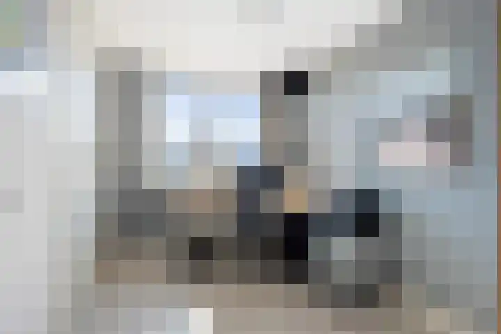 Galjoenstraat 51 Den Helder thumbnail 33