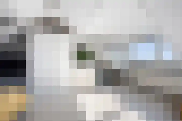 Galjoenstraat 51 Den Helder thumbnail 42