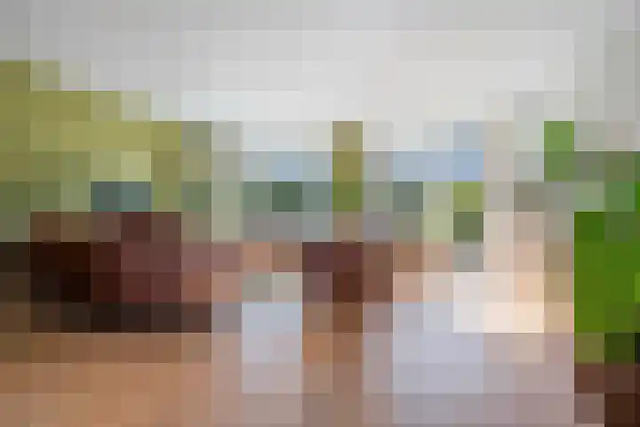 Galjoenstraat 51 Den Helder thumbnail 8