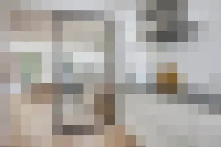 Galjoenstraat 56 Tilburg thumbnail 14