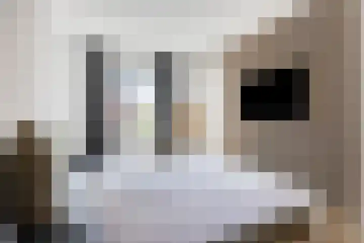 Galjoenstraat 56 Tilburg thumbnail 21