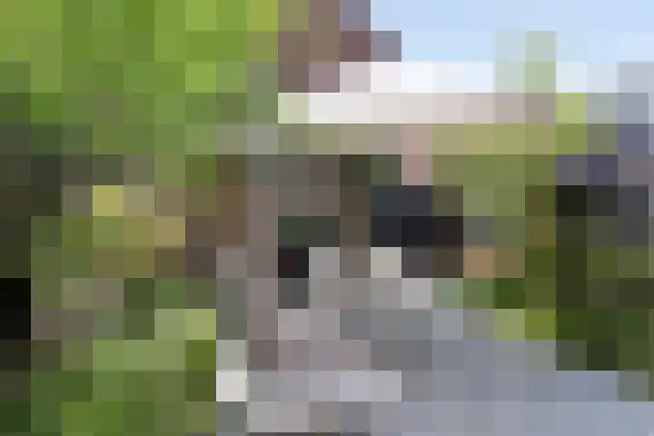 Galjoenstraat 56 Tilburg thumbnail 33