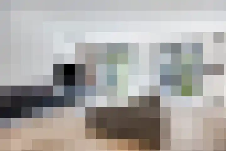 Galjoenstraat 56 Tilburg thumbnail 8
