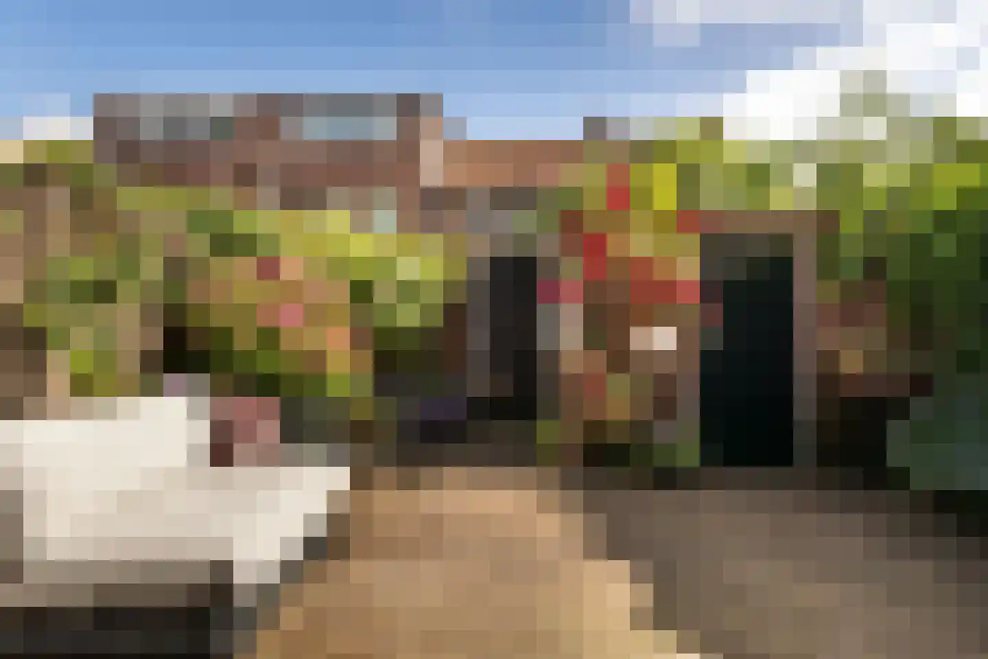 Galjoenstraat 59 Utrecht thumbnail 13