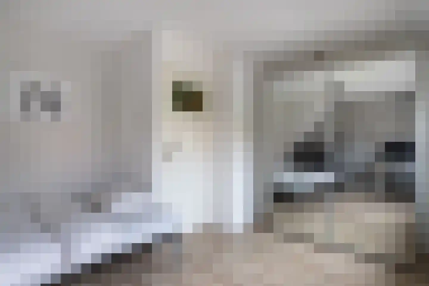 Galjoenstraat 59 Utrecht thumbnail 17