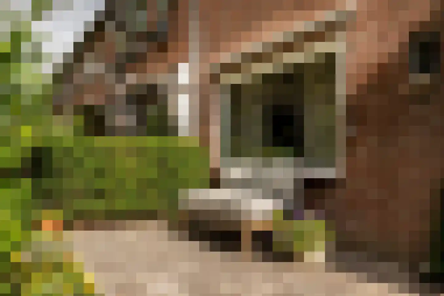 Galjoenstraat 59 Utrecht thumbnail 4