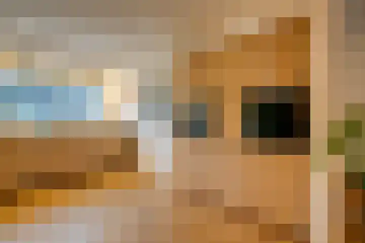 Galjoenstraat 61 Utrecht thumbnail 13