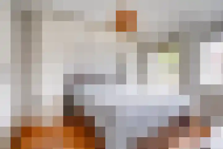Galjoenstraat 61 Utrecht thumbnail 27