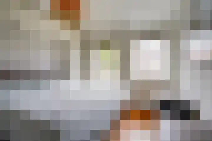 Galjoenstraat 61 Utrecht thumbnail 28