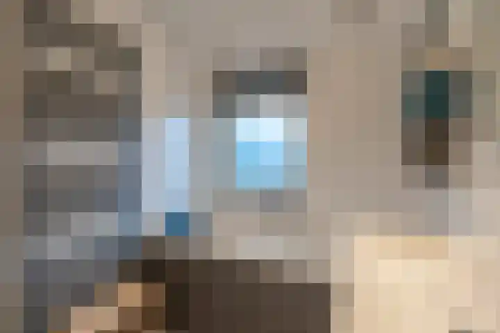Galjoenstraat 61 Utrecht thumbnail 33