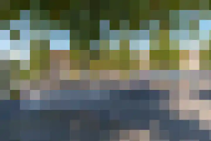 Galjoenstraat 61 Utrecht thumbnail 43