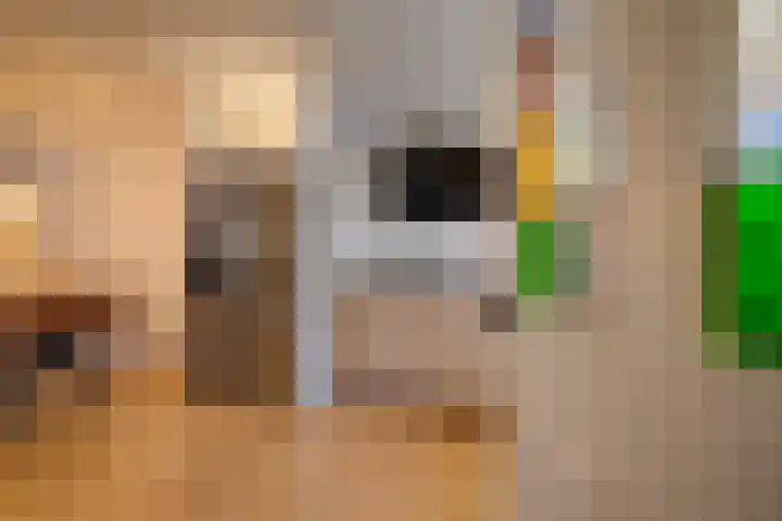 Galjoenstraat 61 Utrecht thumbnail 9
