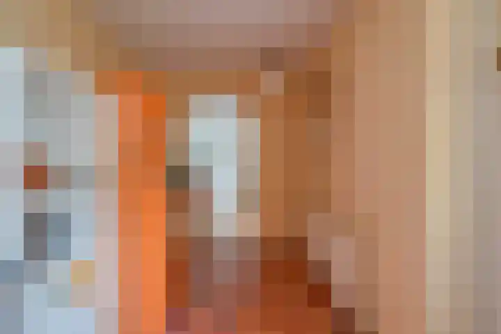 Galjoenstraat 63 Utrecht thumbnail 18
