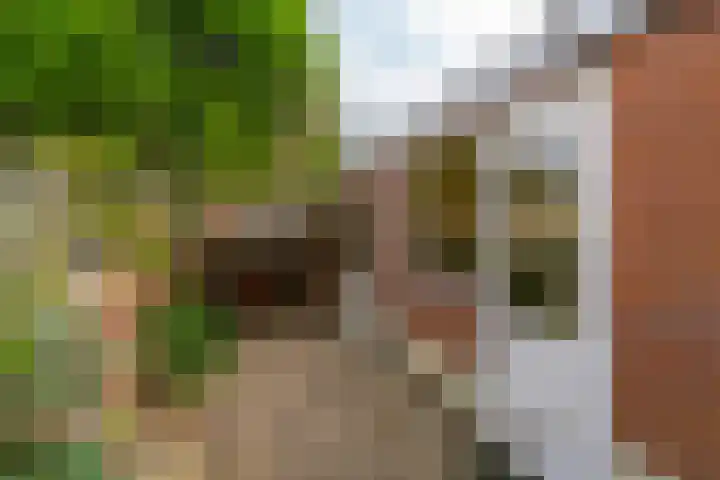 Galjoenstraat 63 Utrecht thumbnail 19