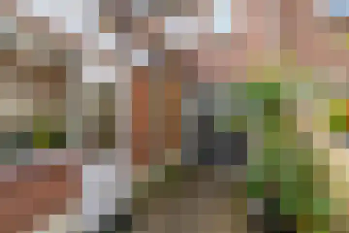 Galjoenstraat 63 Utrecht thumbnail 22