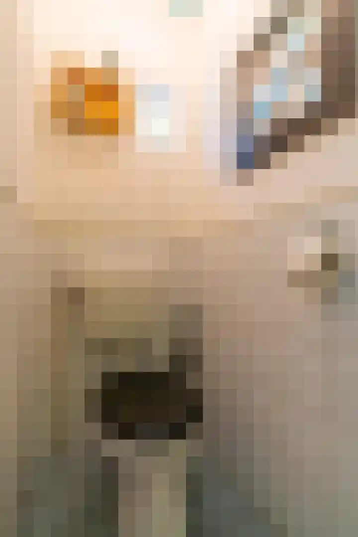 Galjoenstraat 63 Utrecht thumbnail 23