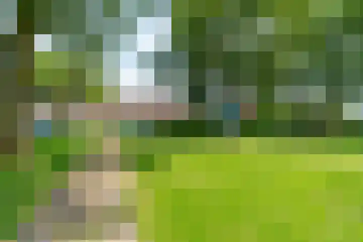 Galjoenstraat 63 Utrecht thumbnail 43