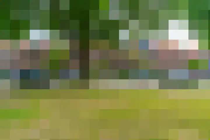 Galjoenstraat 63 Utrecht thumbnail 6