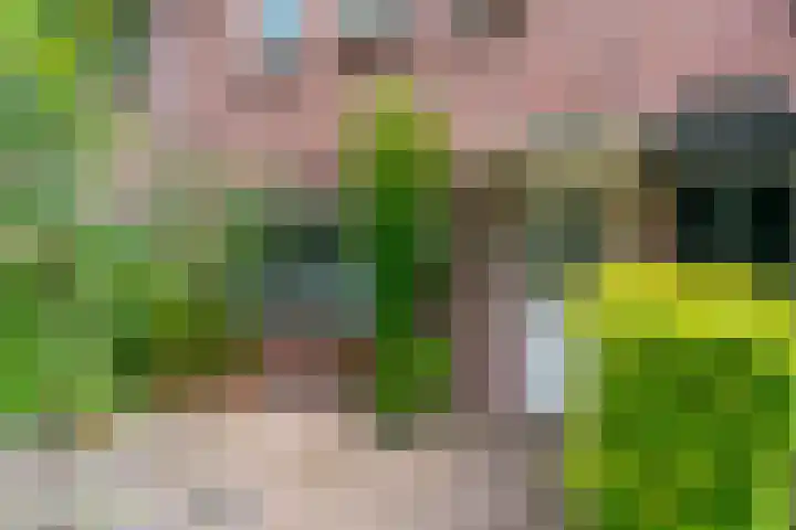 Galjoenstraat 63 Utrecht thumbnail 8