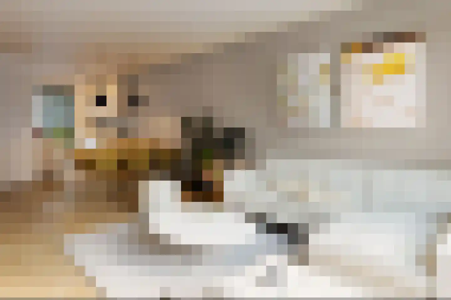 Galjoenstraat 7 Tilburg thumbnail 10