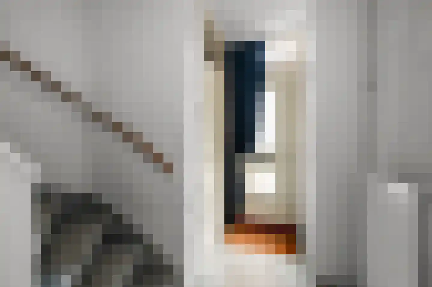 Galjoenstraat 7 Zaandam thumbnail 17