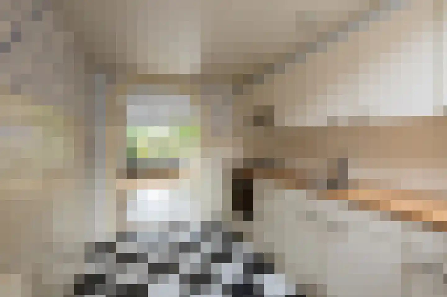 Galjoenstraat 7 Zaandam thumbnail 8