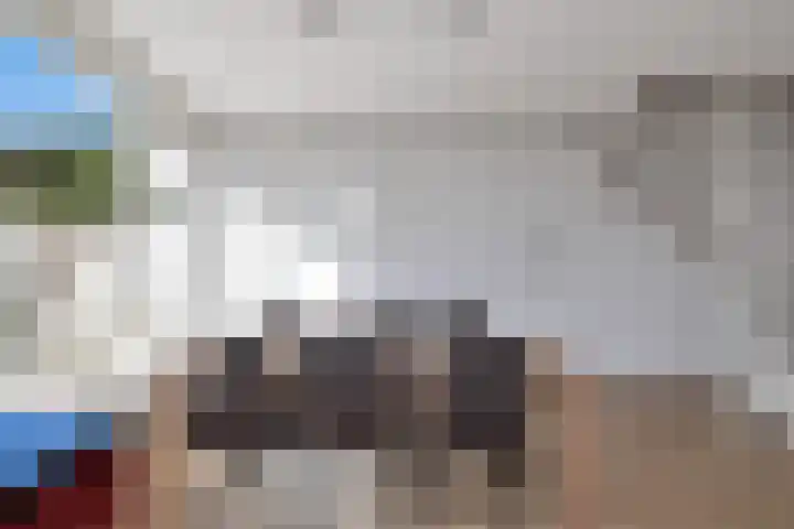 Galjoenstraat 9 Den Helder thumbnail 18
