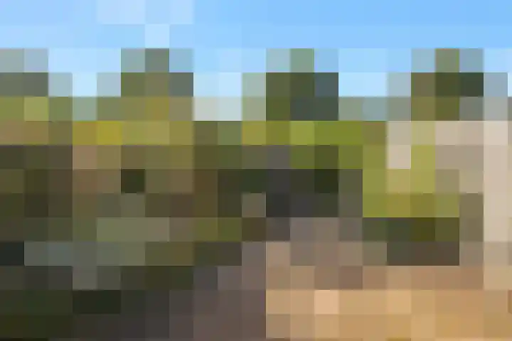 Galjoenstraat 9 Den Helder thumbnail 48
