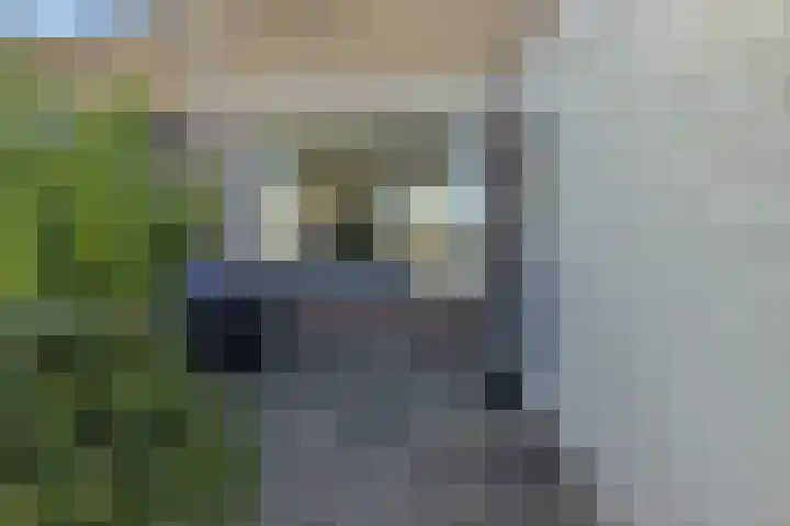 Galjoenstraat 9 Den Helder thumbnail 5