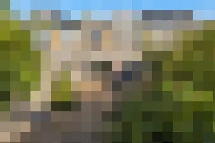 Galjoenstraat 9 Den Helder thumbnail 50