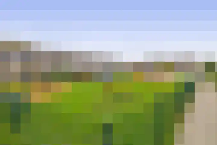 Galjoot 16 Lemmer thumbnail 37