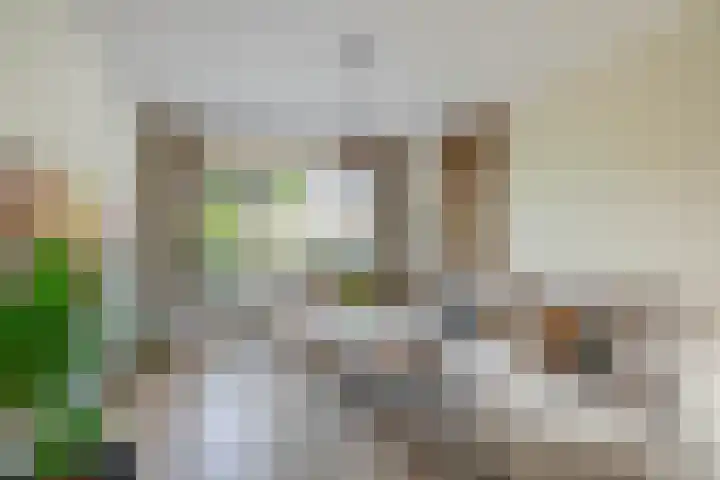 Galjoot 16 Lemmer thumbnail 9