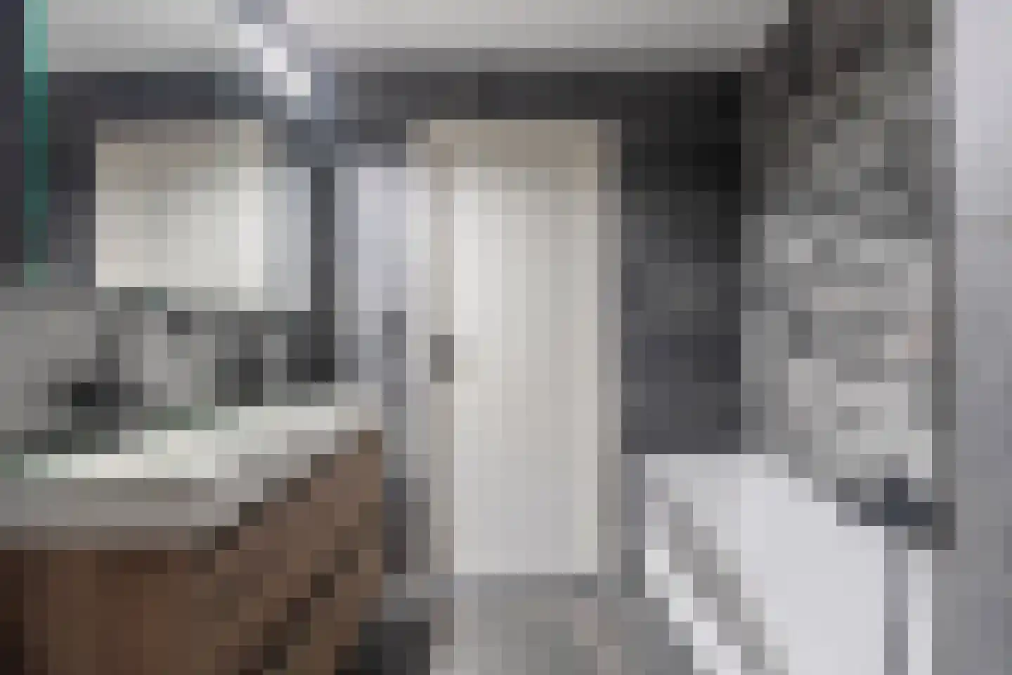 Galjoot 9 Lemmer thumbnail 36