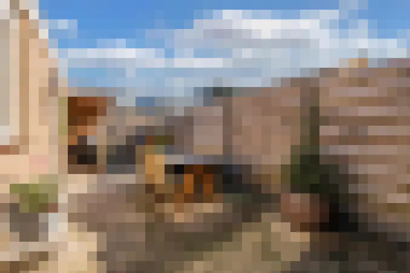 Galjoot 9 Lemmer thumbnail 37