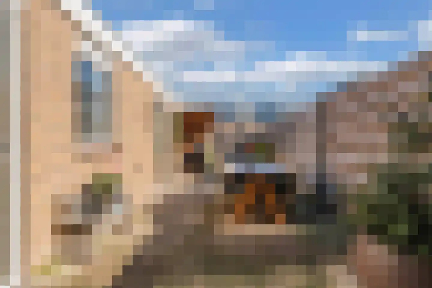 Galjoot 9 Lemmer thumbnail 38