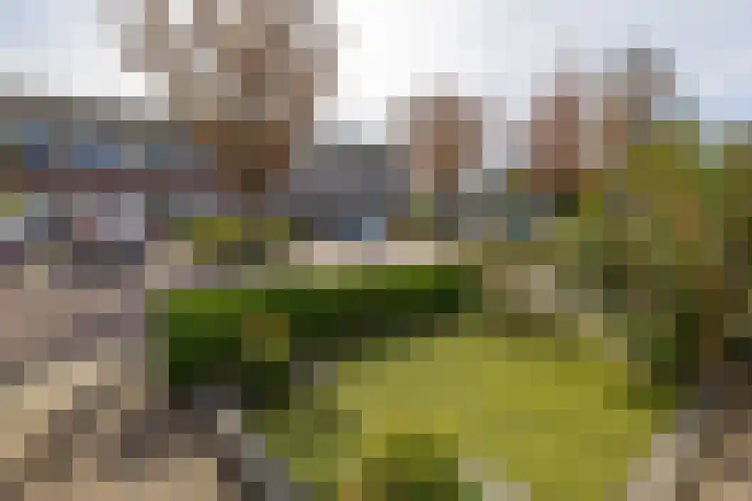 Galjootstraat 110 Veendam thumbnail 10