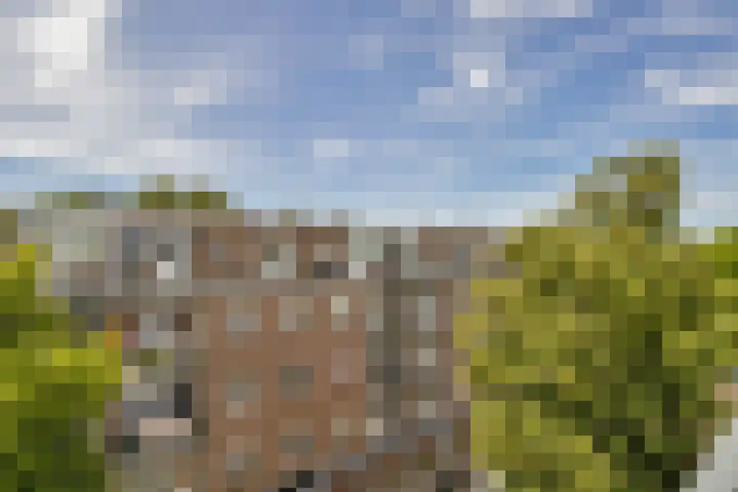 Galjootstraat 14 D Rotterdam thumbnail 10
