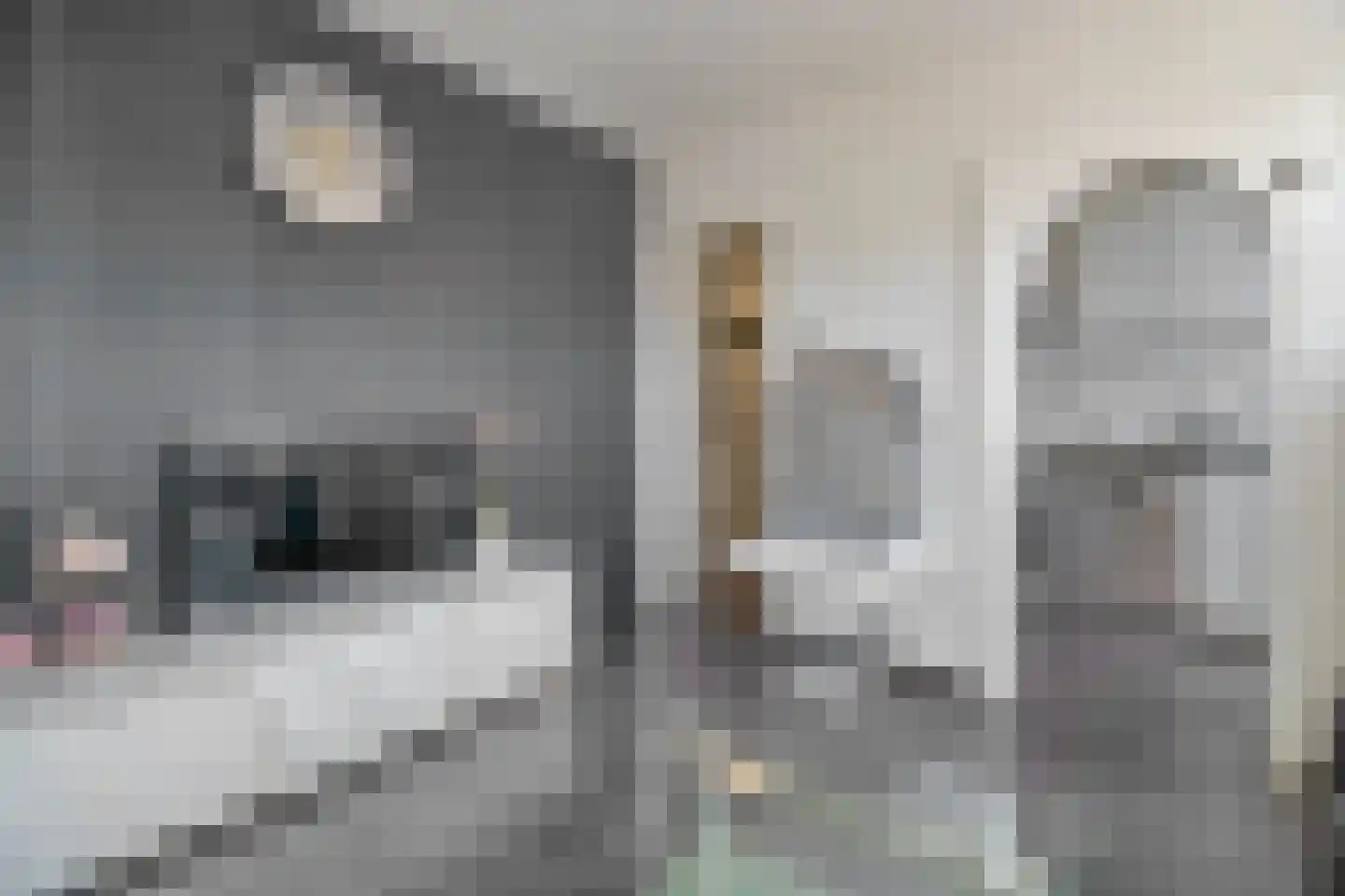 Galjootstraat 14 D Rotterdam thumbnail 6