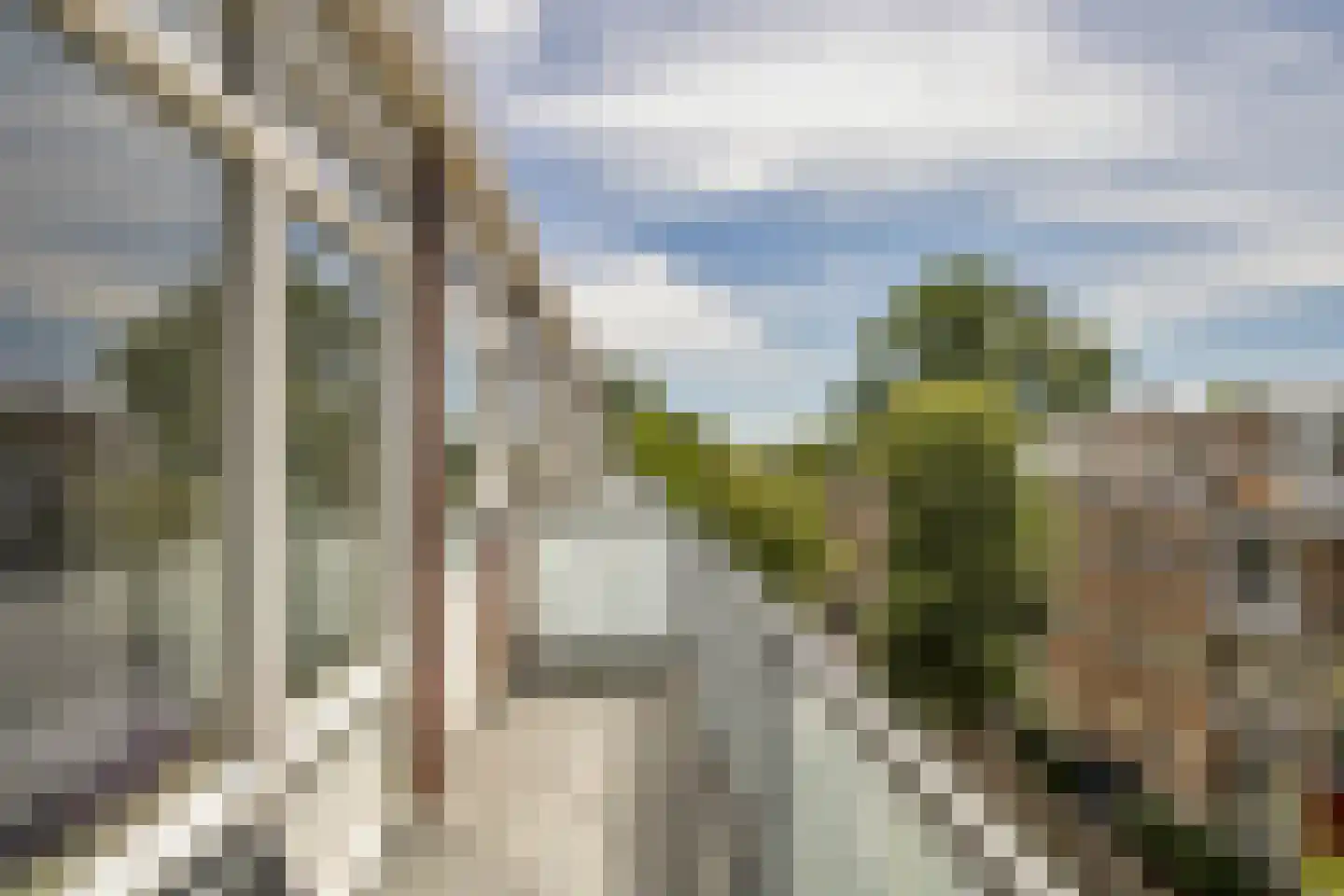 Galjootstraat 14 D Rotterdam thumbnail 9