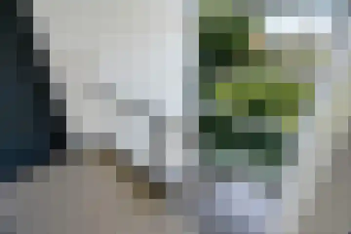Galjootstraat 5 B Rotterdam thumbnail 6