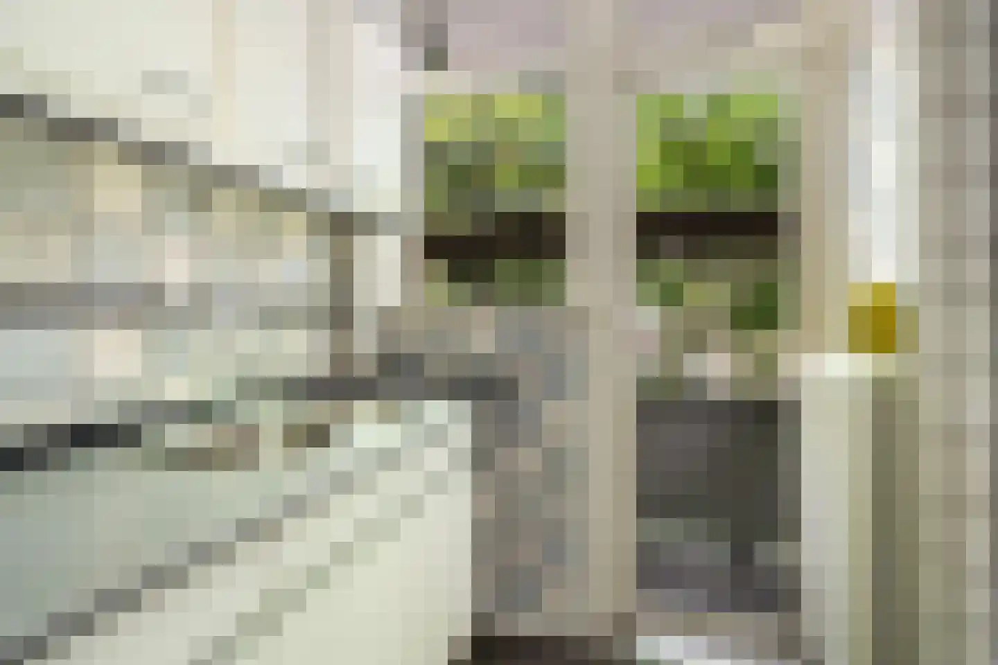 Galjootstraat 9 A Rotterdam thumbnail 10