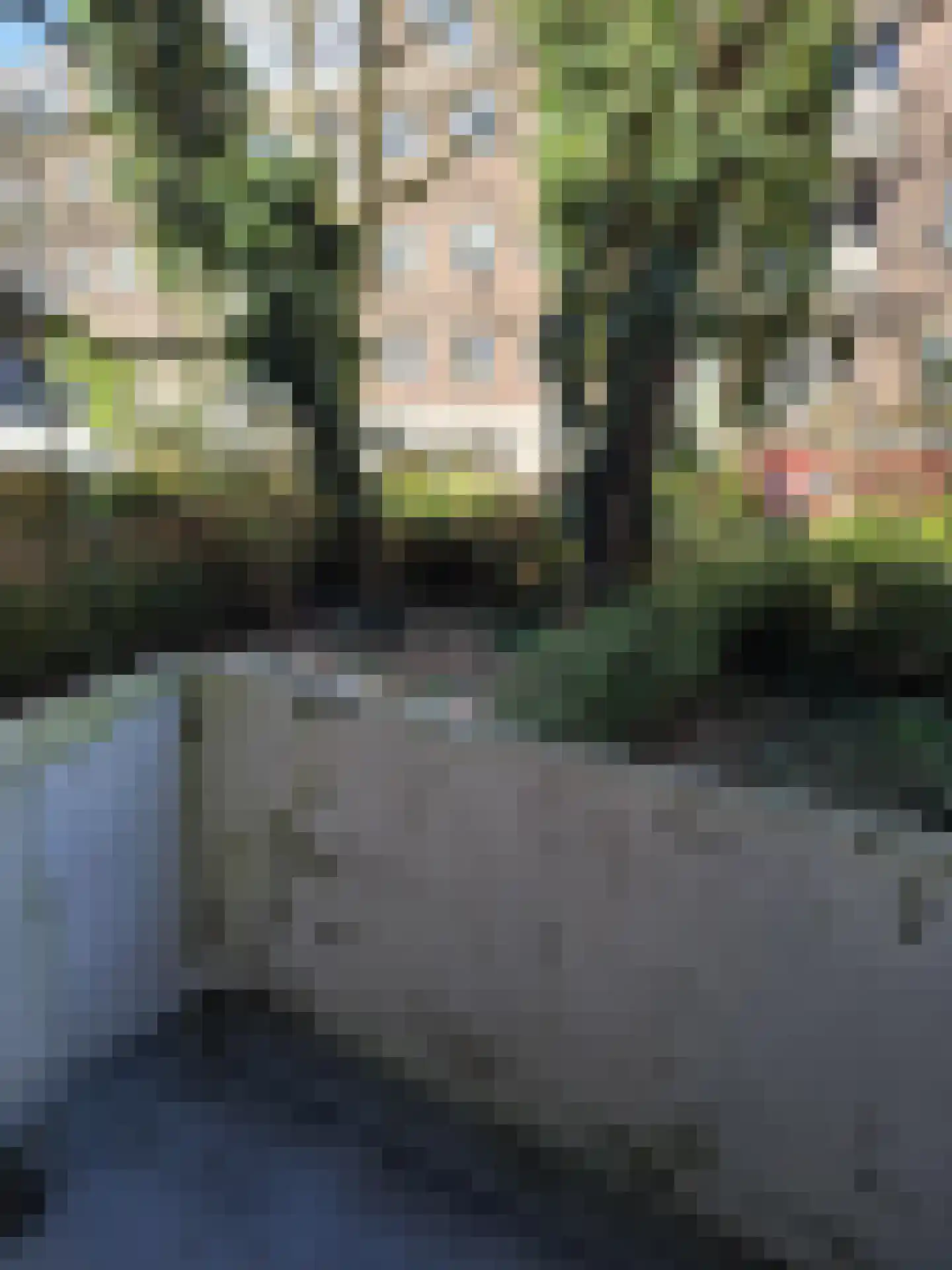 Galjootstraat 9 A Rotterdam thumbnail 14