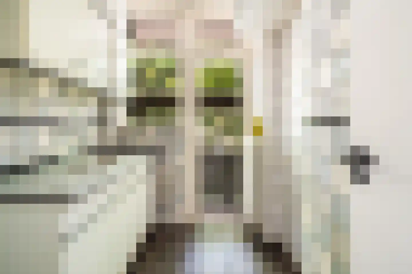 Galjootstraat 9 A Rotterdam thumbnail 4
