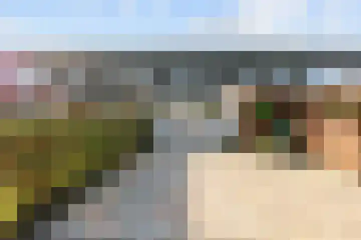 Galkemaheerd 23 Groningen thumbnail 35
