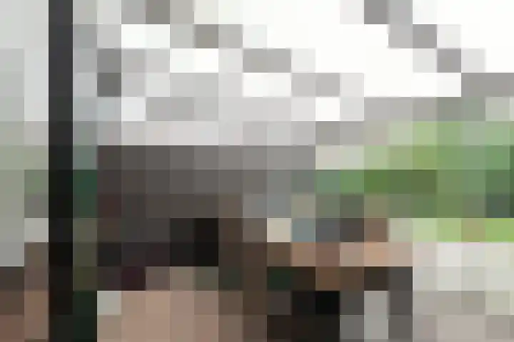 Galkemaheerd 28 Groningen thumbnail 10
