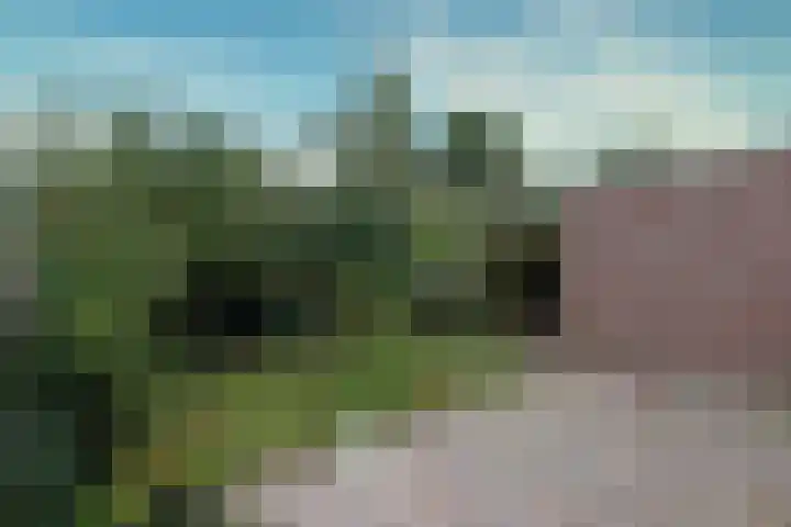 Galkemaheerd 28 Groningen thumbnail 13
