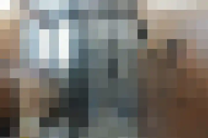Galkemaheerd 28 Groningen thumbnail 20