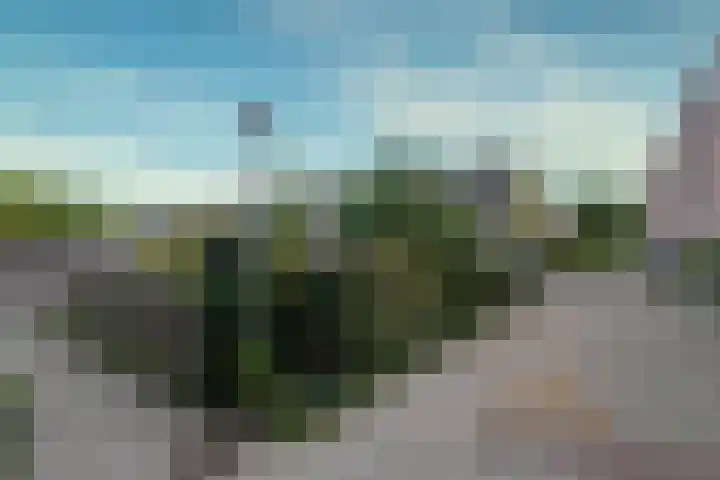 Galkemaheerd 28 Groningen thumbnail 6