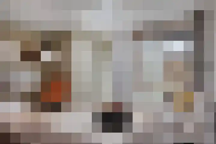 Galkemaheerd 34 Groningen thumbnail 17