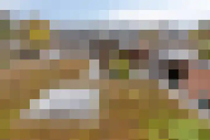 Galkemaheerd 34 Groningen thumbnail 36